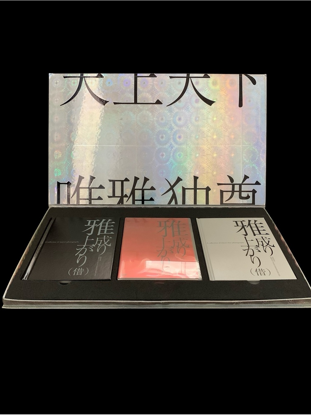 Miyavi - The Rise to Success (Borrowed) Live Venue Limited DVD & Photobook - Picture 4 of 13